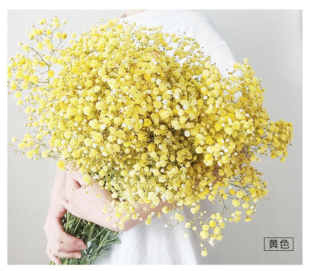 40-50cm Natural Fresh Dried Flowers Gypsophila paniculata,Baby's Breath Flower bouquets,gift & Wedding Decoration,Home Decor