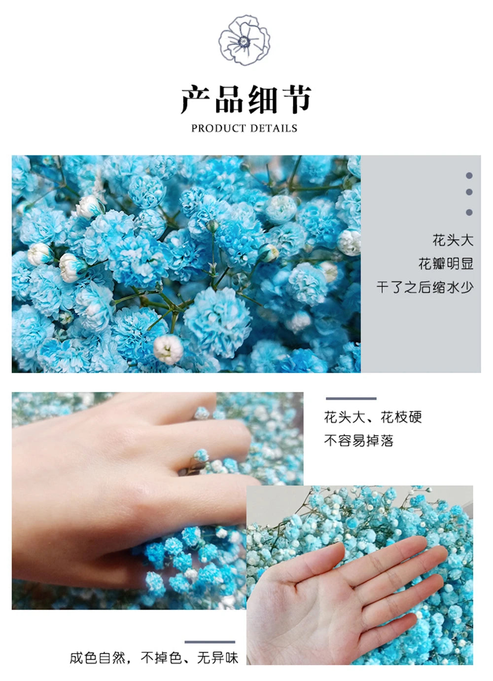 40-50cm Natural Fresh Dried Flowers Gypsophila paniculata,Baby's Breath Flower bouquets,gift & Wedding Decoration,Home Decor