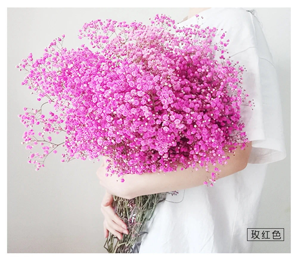 40-50cm Natural Fresh Dried Flowers Gypsophila paniculata,Baby's Breath Flower bouquets,gift & Wedding Decoration,Home Decor
