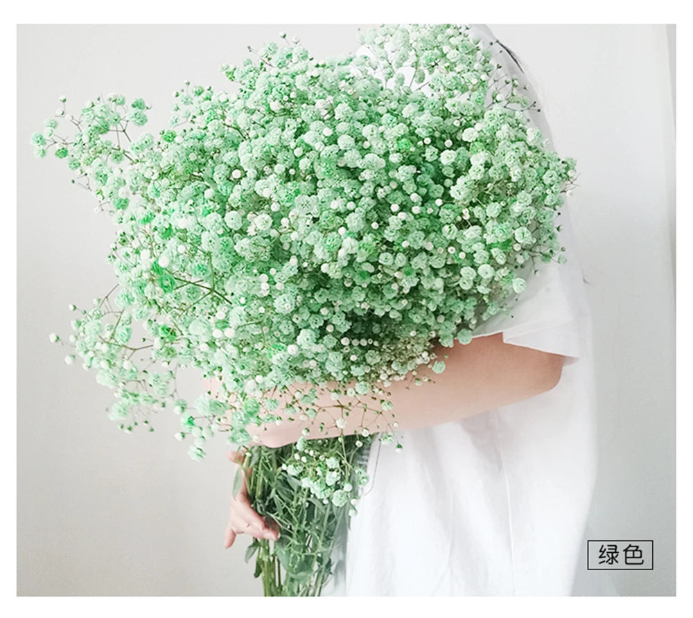 40-50cm Natural Fresh Dried Flowers Gypsophila paniculata,Baby's Breath Flower bouquets,gift & Wedding Decoration,Home Decor