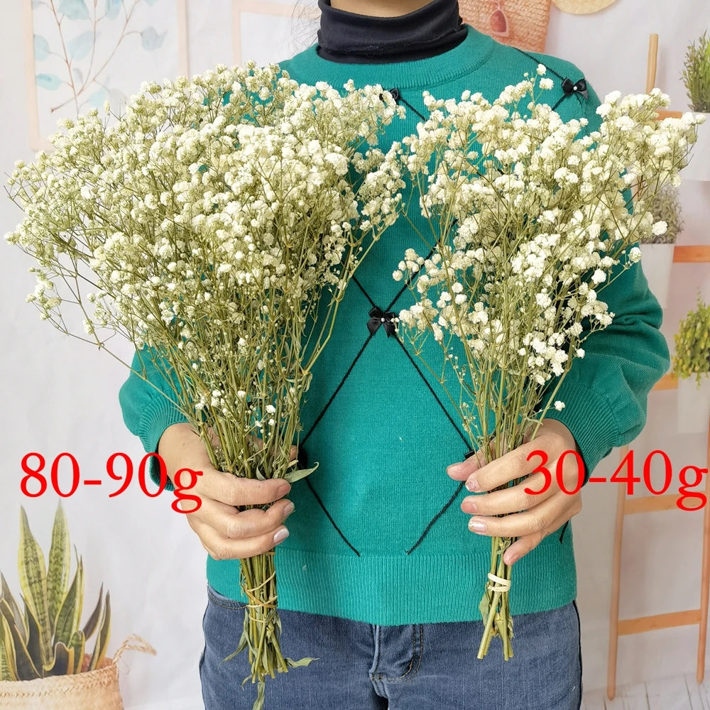 40-50cm Natural Fresh Dried Flowers Gypsophila paniculata,Baby's Breath Flower bouquets,gift & Wedding Decoration,Home Decor