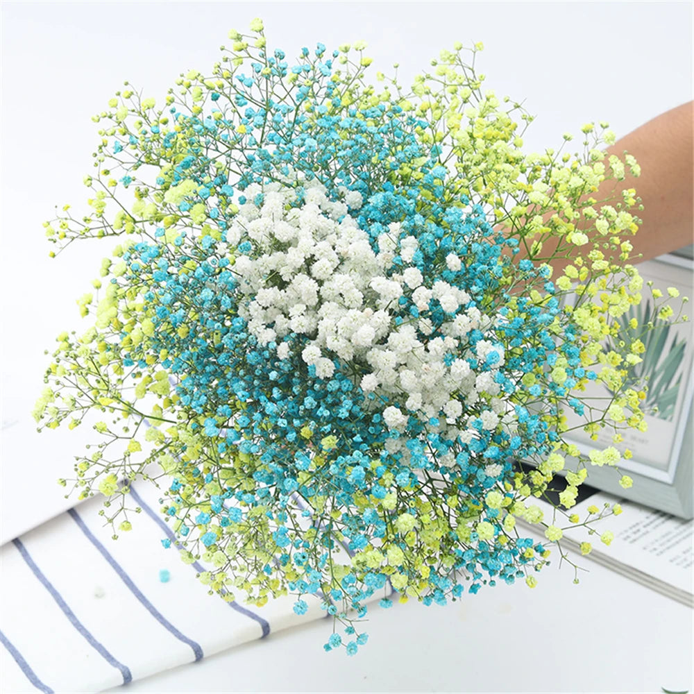 40-50cm Natural Fresh Dried Flowers Gypsophila paniculata,Baby's Breath Flower bouquets,gift & Wedding Decoration,Home Decor