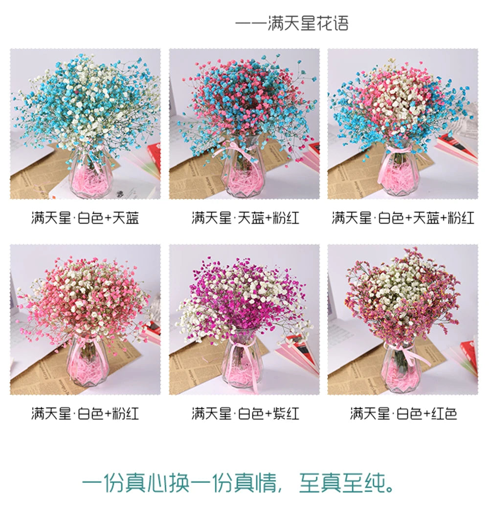 40-50cm Natural Fresh Dried Flowers Gypsophila paniculata,Baby's Breath Flower bouquets,gift & Wedding Decoration,Home Decor