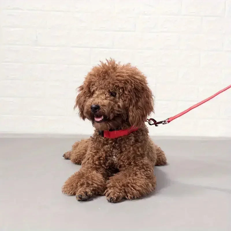 Light Up LED Pet Dog Collar Safety Night Walking Flashing Glow In The Dark LED Pet Dog Battery Collar Small Medium Large Dog