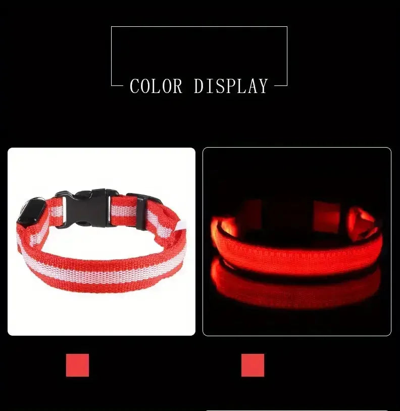 Light Up LED Pet Dog Collar Safety Night Walking Flashing Glow In The Dark LED Pet Dog Battery Collar Small Medium Large Dog