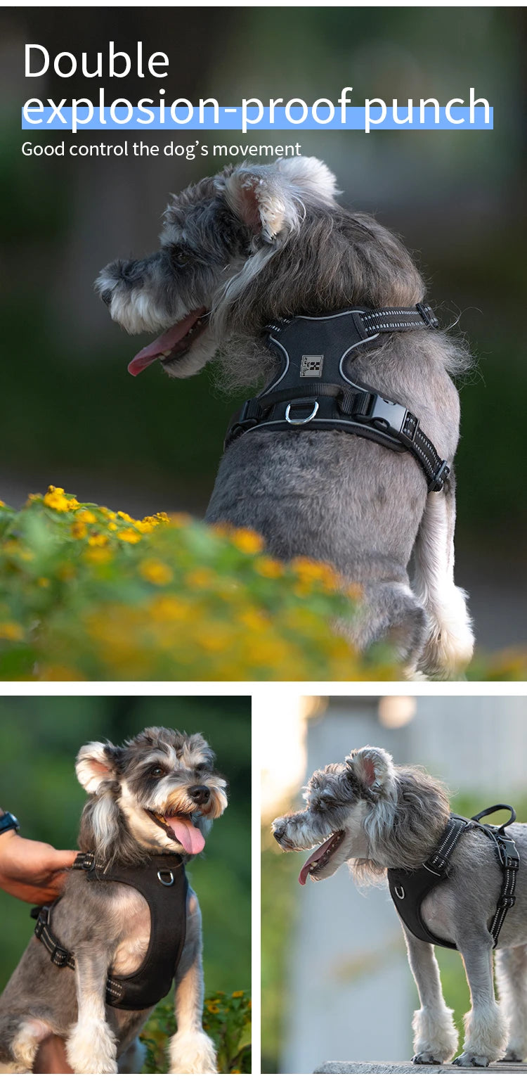 SMALL COMBINATION Dog Harness No Pull Reflective Pet Dog Chest Harness Adjustable for Small Medium Large Dogs Outdoor Walking