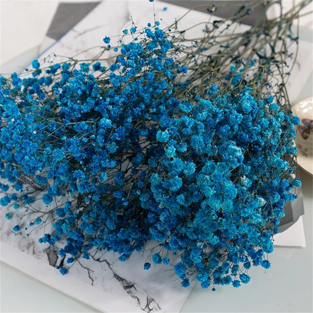 40-50cm Natural Fresh Dried Flowers Gypsophila paniculata,Baby's Breath Flower bouquets,gift & Wedding Decoration,Home Decor