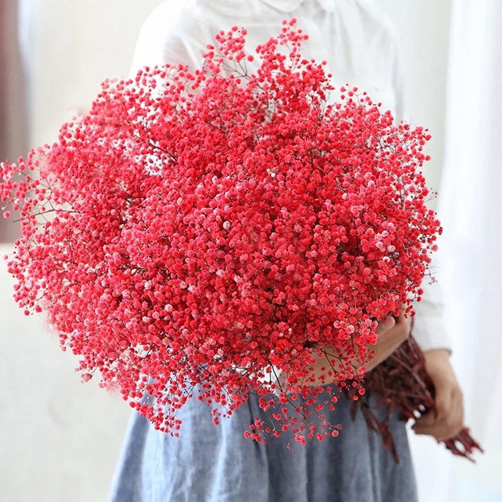 40-50cm Natural Fresh Dried Flowers Gypsophila paniculata,Baby's Breath Flower bouquets,gift & Wedding Decoration,Home Decor