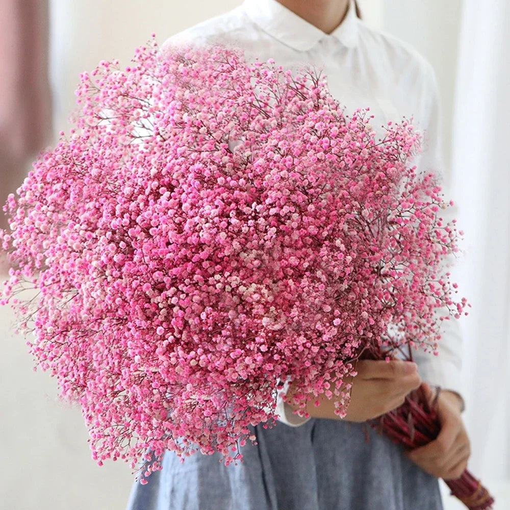 40-50cm Natural Fresh Dried Flowers Gypsophila paniculata,Baby's Breath Flower bouquets,gift & Wedding Decoration,Home Decor