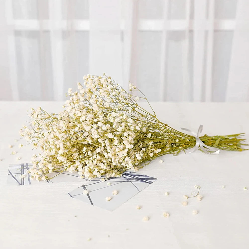 40-50cm Natural Fresh Dried Flowers Gypsophila paniculata,Baby's Breath Flower bouquets,gift & Wedding Decoration,Home Decor