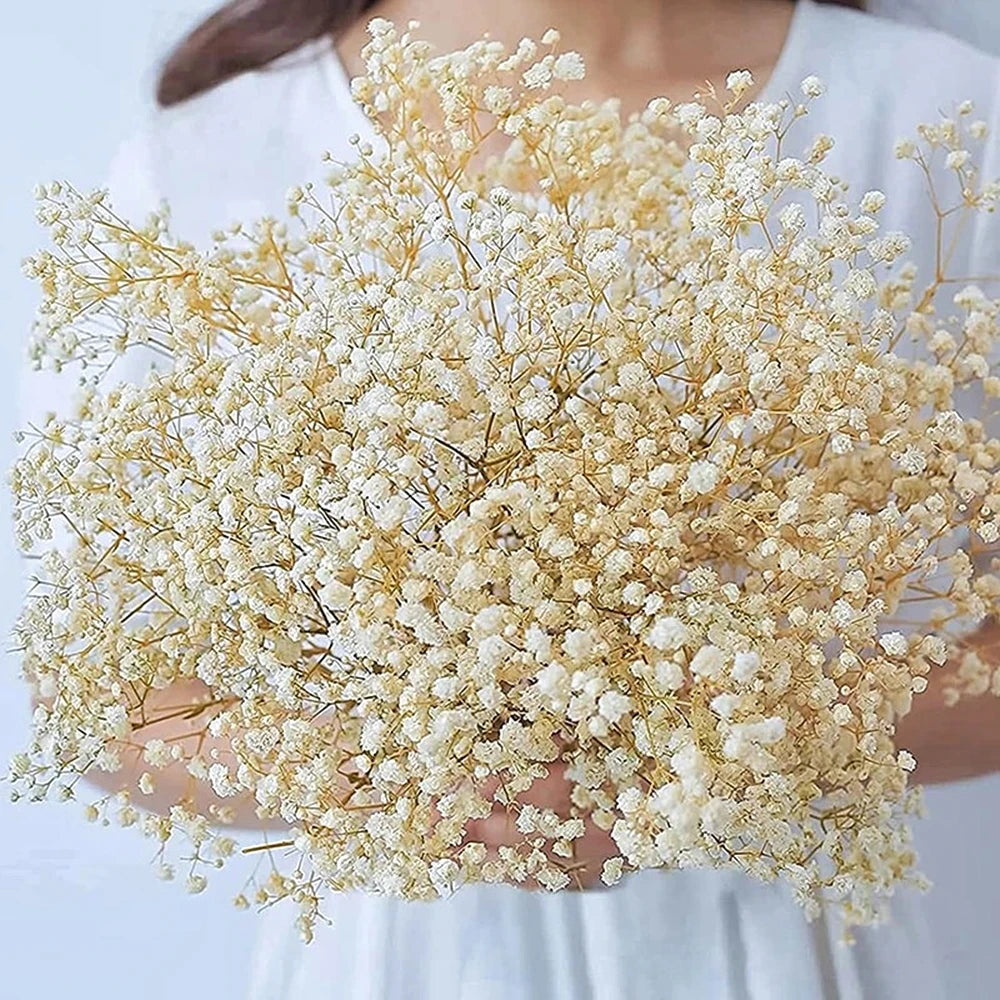 40-50cm Natural Fresh Dried Flowers Gypsophila paniculata,Baby's Breath Flower bouquets,gift & Wedding Decoration,Home Decor