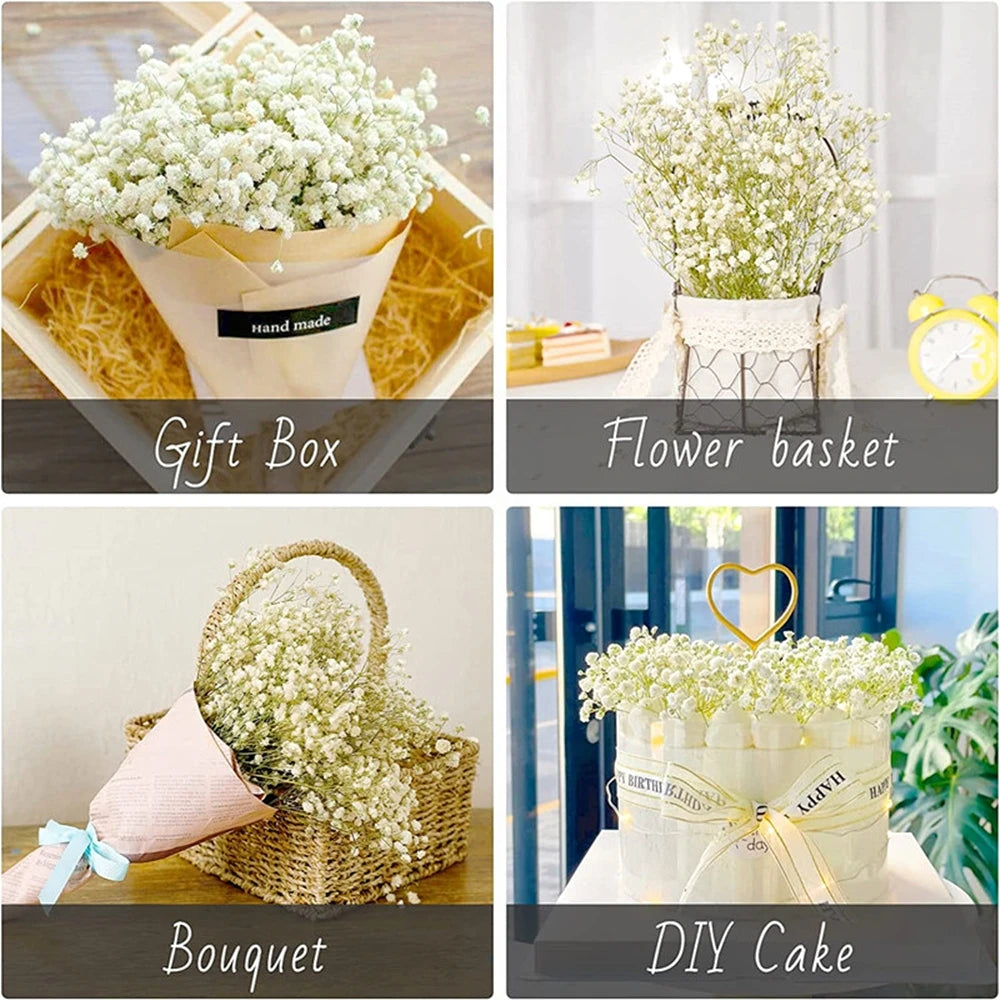 40-50cm Natural Fresh Dried Flowers Gypsophila paniculata,Baby's Breath Flower bouquets,gift & Wedding Decoration,Home Decor