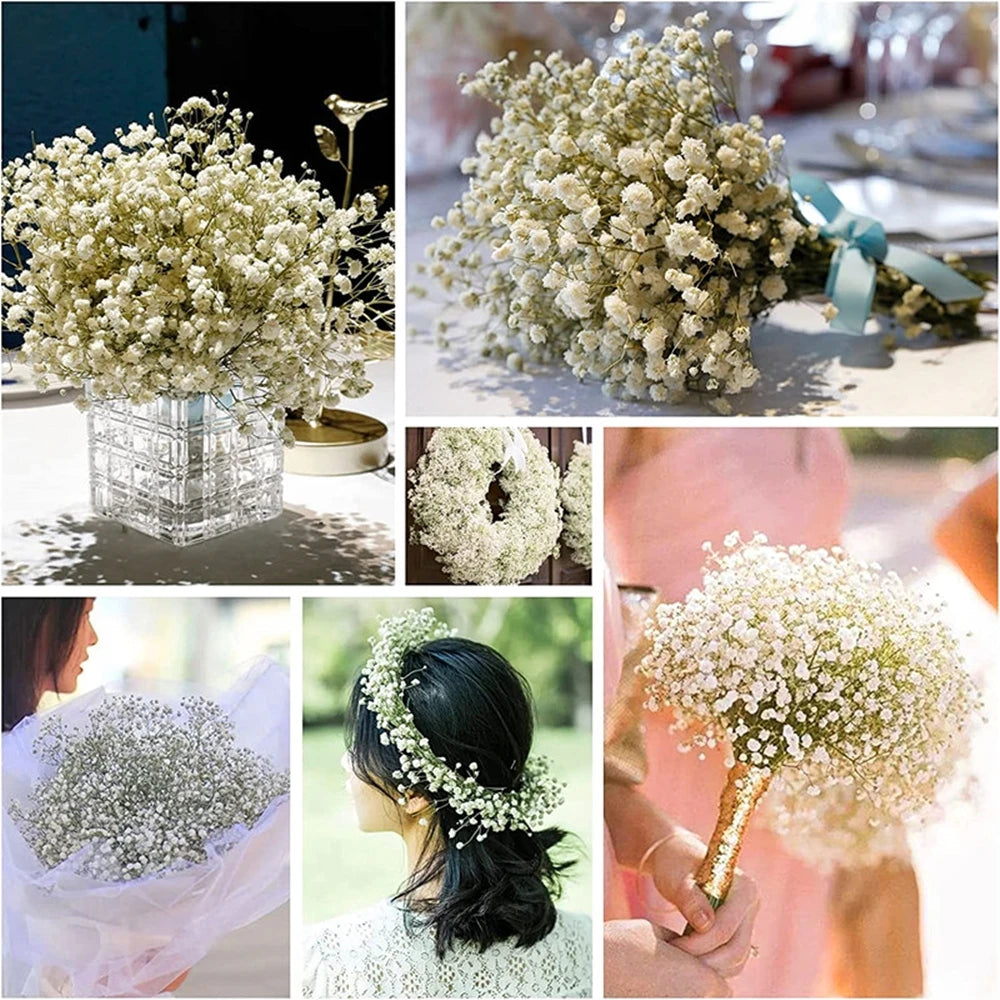 40-50cm Natural Fresh Dried Flowers Gypsophila paniculata,Baby's Breath Flower bouquets,gift & Wedding Decoration,Home Decor
