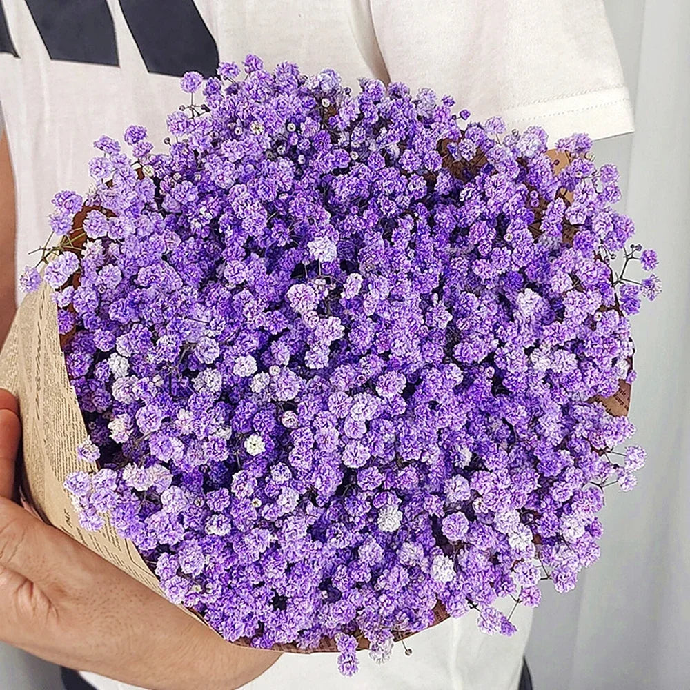 40-50cm Natural Fresh Dried Flowers Gypsophila paniculata,Baby's Breath Flower bouquets,gift & Wedding Decoration,Home Decor