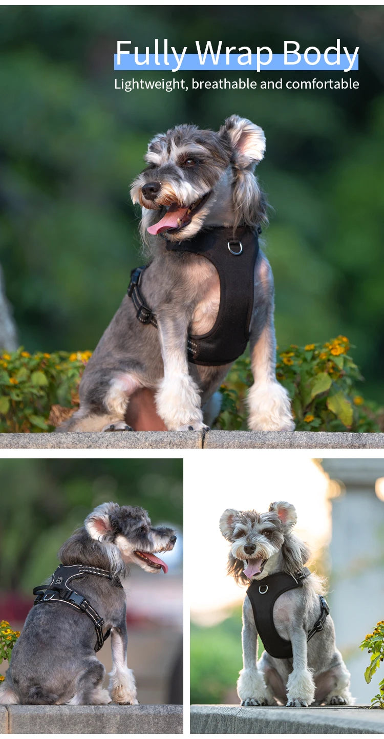 SMALL COMBINATION Dog Harness No Pull Reflective Pet Dog Chest Harness Adjustable for Small Medium Large Dogs Outdoor Walking