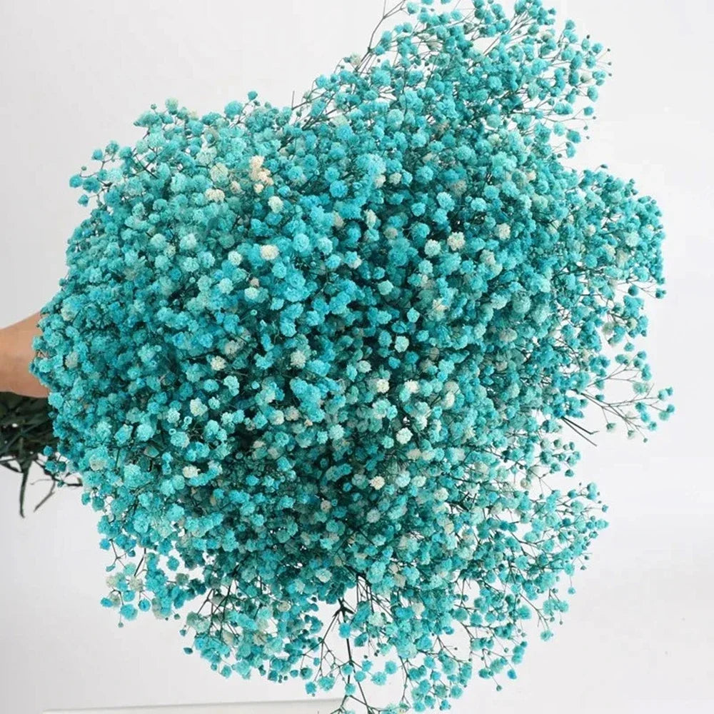 40-50cm Natural Fresh Dried Flowers Gypsophila paniculata,Baby's Breath Flower bouquets,gift & Wedding Decoration,Home Decor