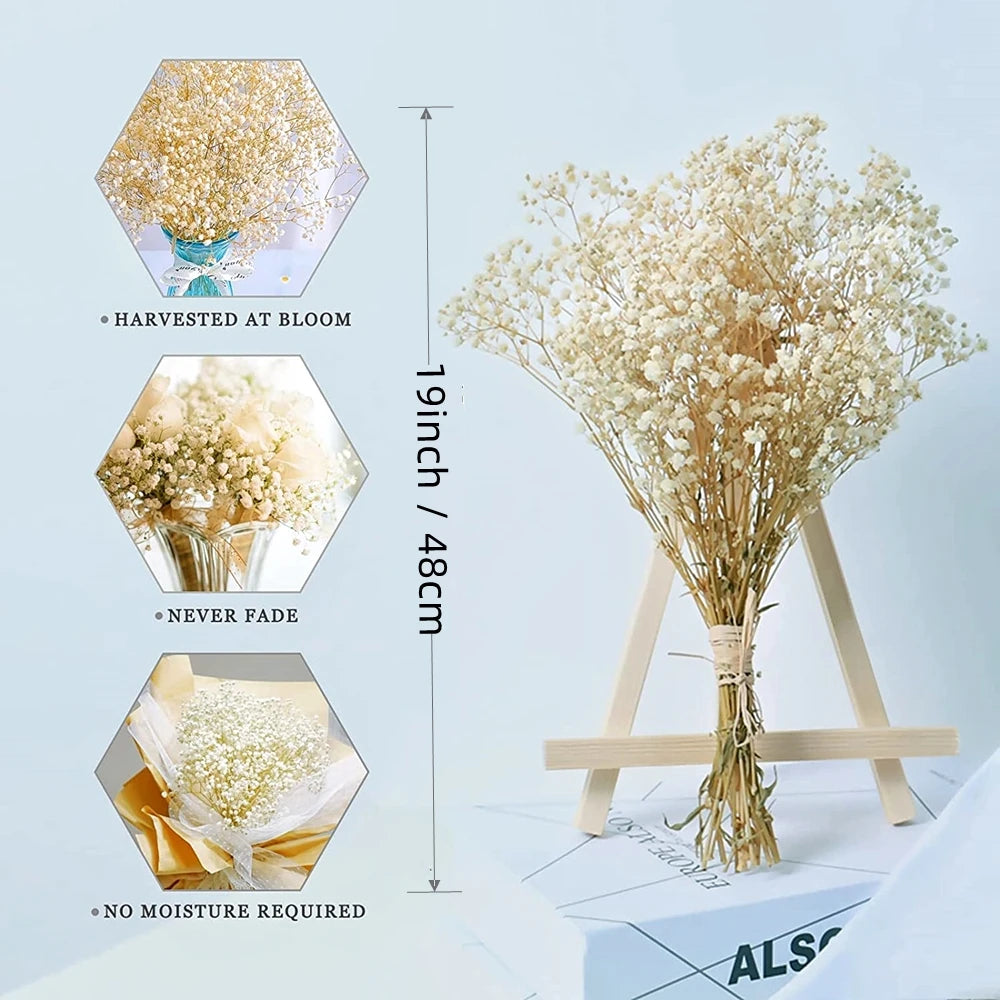 40-50cm Natural Fresh Dried Flowers Gypsophila paniculata,Baby's Breath Flower bouquets,gift & Wedding Decoration,Home Decor