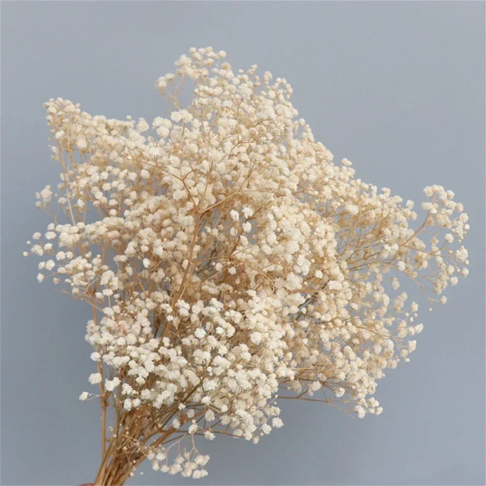 40-50cm Natural Fresh Dried Flowers Gypsophila paniculata,Baby's Breath Flower bouquets,gift & Wedding Decoration,Home Decor