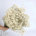 40-50cm Natural Fresh Dried Flowers Gypsophila paniculata,Baby's Breath Flower bouquets,gift & Wedding Decoration,Home Decor