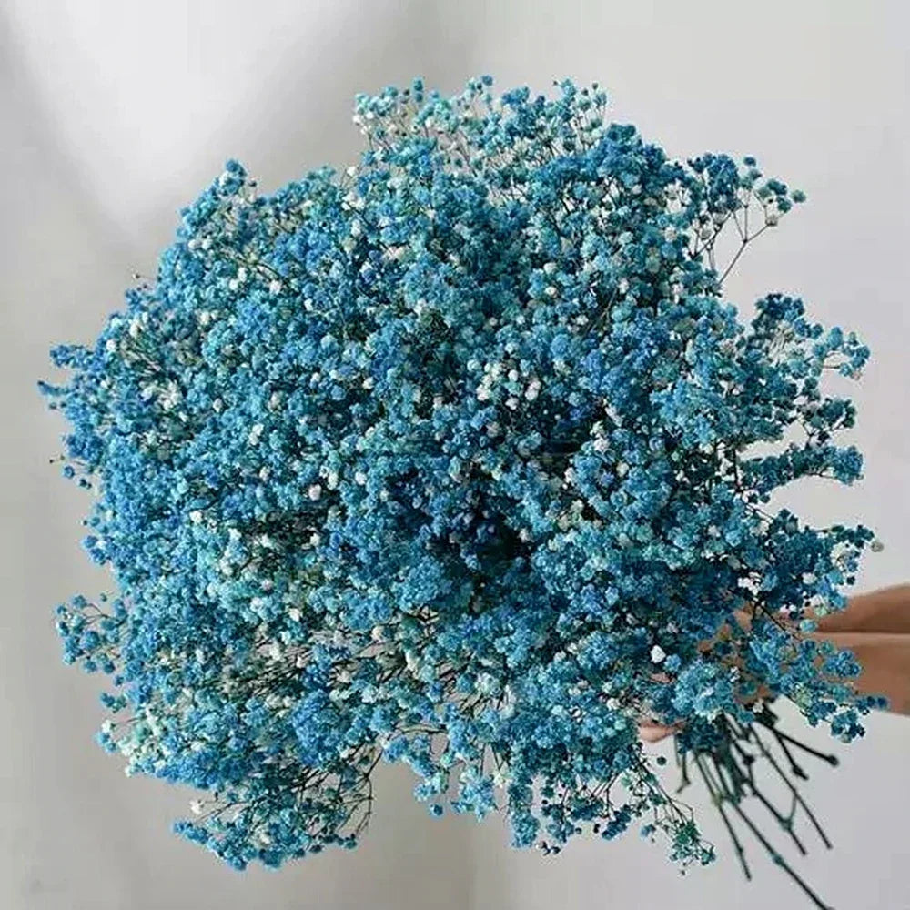 40-50cm Natural Fresh Dried Flowers Gypsophila paniculata,Baby's Breath Flower bouquets,gift & Wedding Decoration,Home Decor
