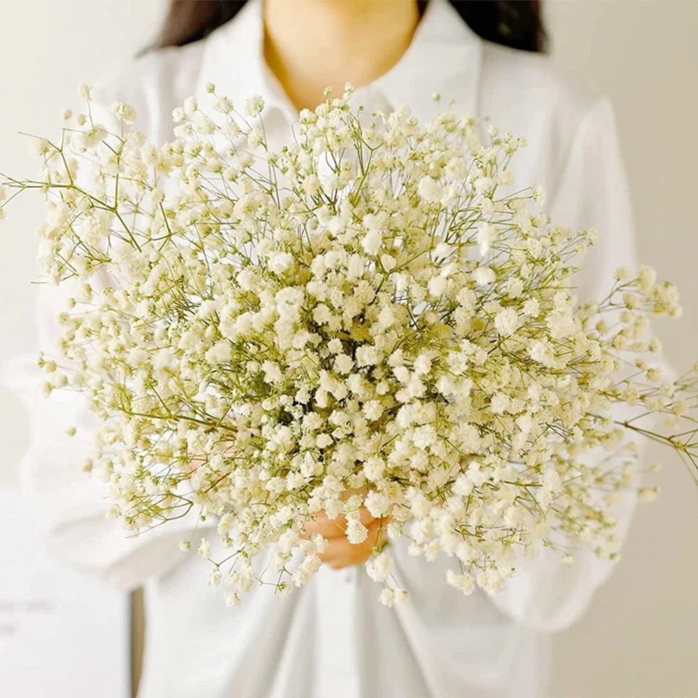40-50cm Natural Fresh Dried Flowers Gypsophila paniculata,Baby's Breath Flower bouquets,gift & Wedding Decoration,Home Decor