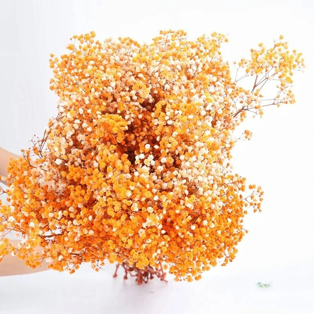 40-50cm Natural Fresh Dried Flowers Gypsophila paniculata,Baby's Breath Flower bouquets,gift & Wedding Decoration,Home Decor